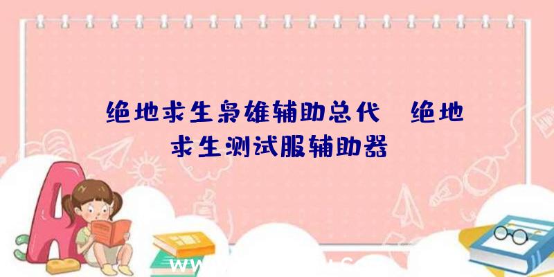 「绝地求生枭雄辅助总代」|绝地求生测试服辅助器